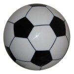 ABS Soccer Ball